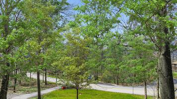 A park with a paved path, green grass, and trees.