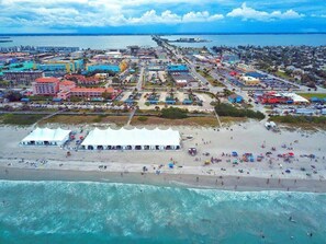 Beach - Palm Paradise - Lush Pool, Walk DNTN 3br (Melbourne)