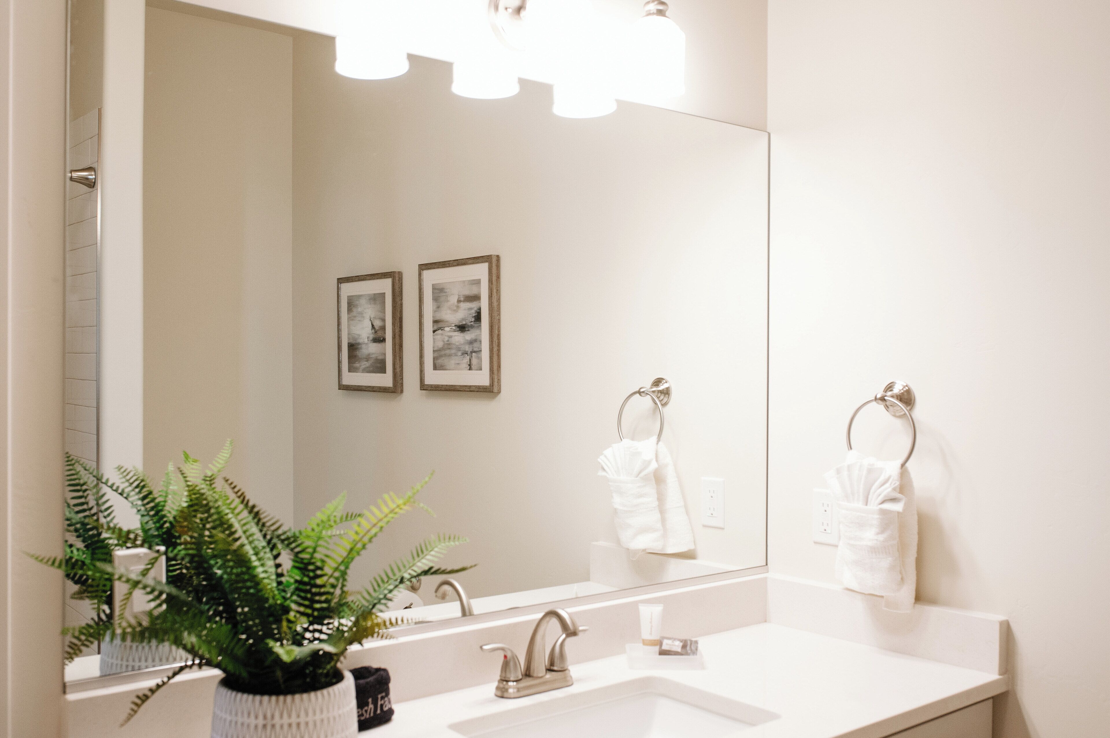 Ein modernes Badezimmer mit einem großen Spiegel, zwei gerahmten Bildern an der Wand, einem Blumentopf, einem Waschbecken und zwei Handtüchern, die an Handtuchhaltern hängen.