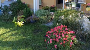 Une maison avec un jardin bien entretenu, un pot suspendu et une statue.