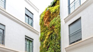 A courtyard with a vertical garden, a white door, and a bicycle. - Genteel Home Goyeneta (Seville)