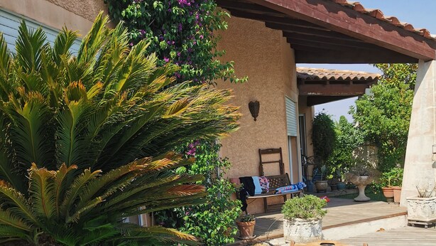 Una terraza de madera con una silla de descanso, rodeada de exuberante follaje y plantas en macetas.