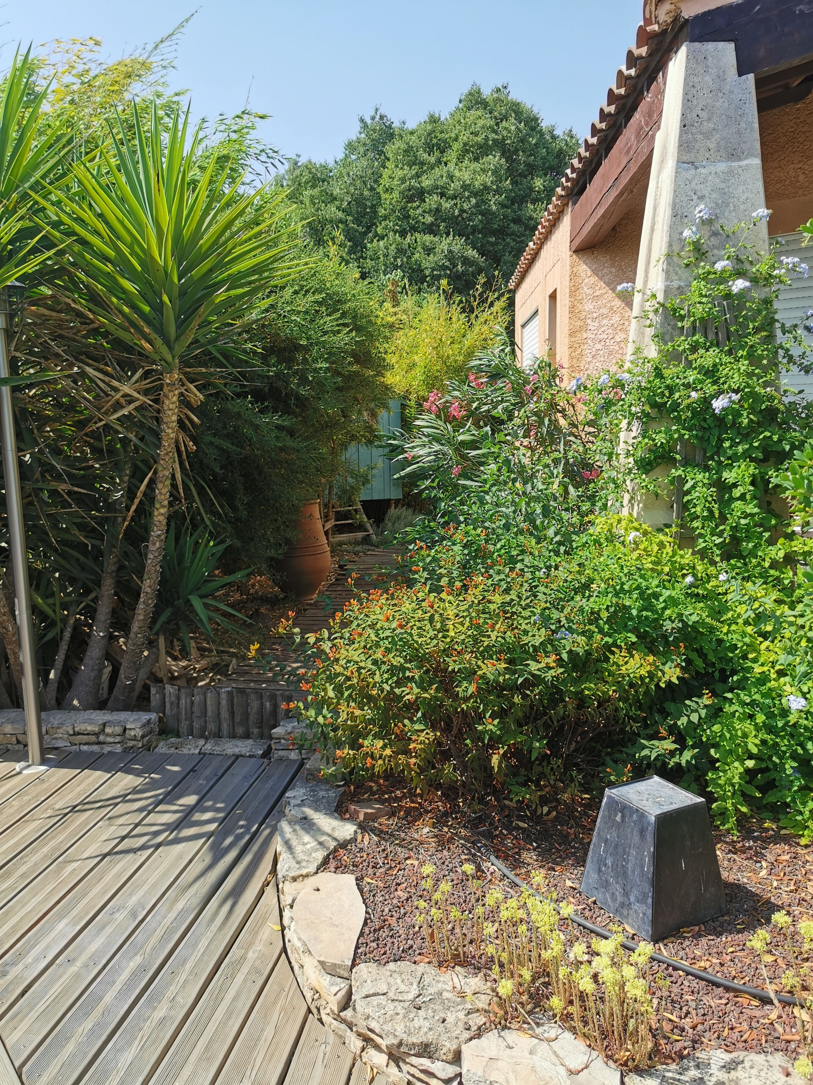 A wooden deck leading to a house with a stone pillar, surrounded by various plants and trees.