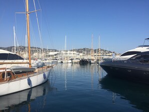 Marina