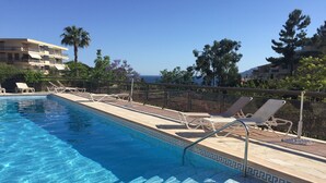 Una piscina con acqua cristallina e azzurra, circondata da lettini e una palma.