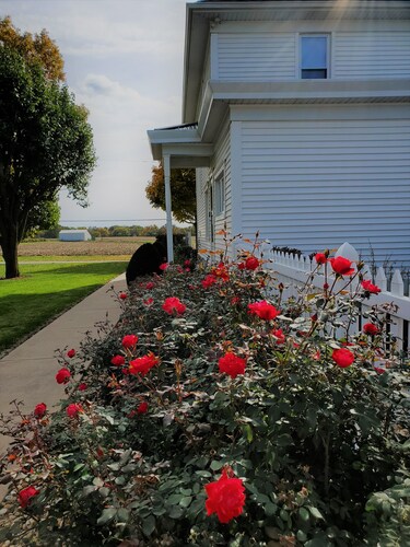 Charming Nauvoo Farmhouse - 1 mile from Nauvoo Temple