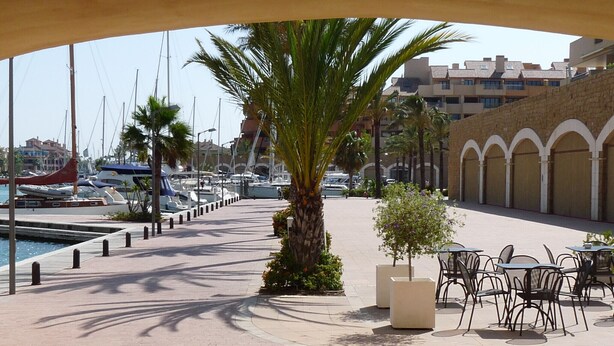 Un puerto deportivo con barcos, una palmera y mobiliario exterior.