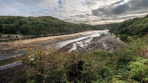 A coastal landscape with a beach, a river, and dense forest.