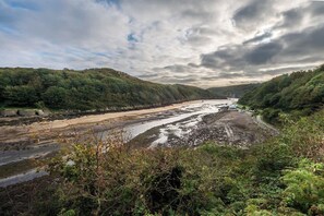 A coastal landscape with a beach, a river, and dense forest.