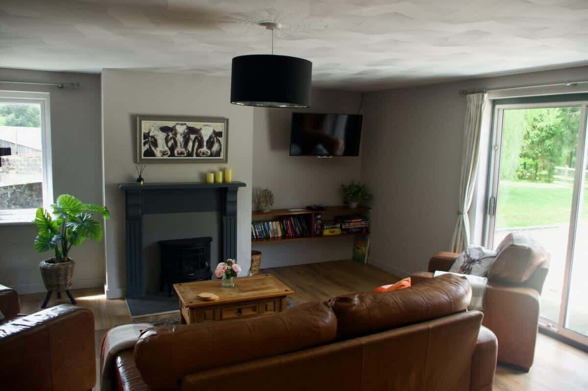 Télévision, cheminée