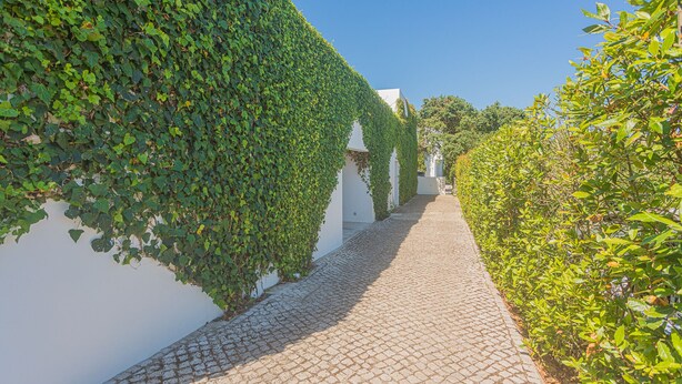 A cobblestone pathway flanked by lush greenery and white walls, leading to a building with a white facade. - Melro's Places (Setúbal)