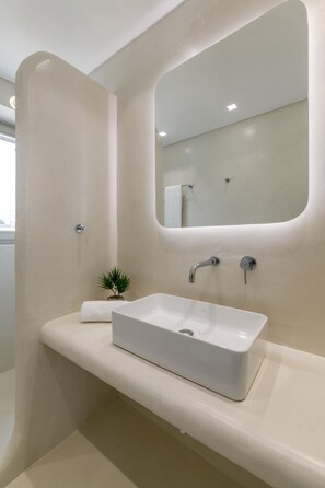 Un baño moderno con un lavabo blanco, un espejo grande y una planta pequeña en la encimera.