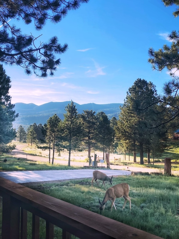 View from property