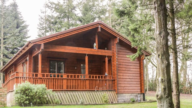 A wooden cabin with a porch, surrounded by trees. - Chloe's Lodge (Pickering)