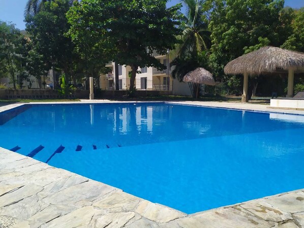 A clear blue swimming pool with stone tiles, surrounded by lush greenery and a thatched-roof structure.