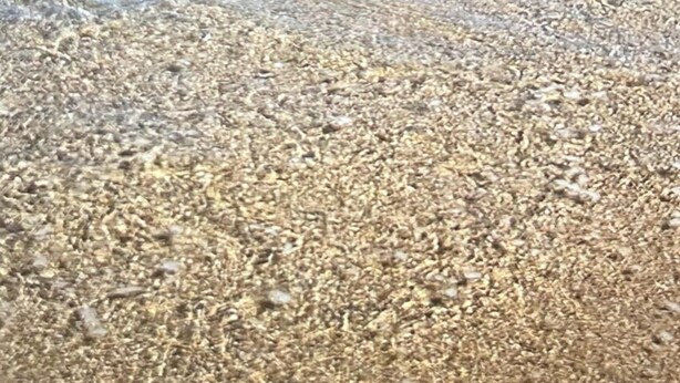 A beach with clear shallow waters, pebbly shore, and large rocks in the background. - Newly renovated centrally located apartment in La Crucecita Huatulco Oaxaca  (La Crucecita)