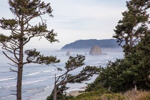 Playa en los alrededores 