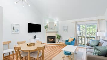 Smart TV, chimenea, libros y videoteca