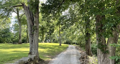Airstream RV - Close to Nashville, yet tucked away from the bustle