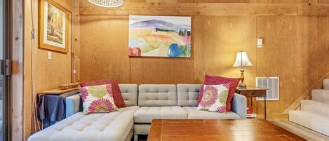 Téléviseur, foyer, lecteur de DVD, livres