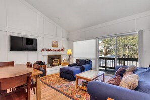 TV, fireplace, DVD player, books