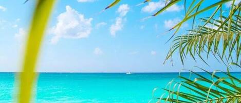 Nær stranden, solsenger og strandhåndklær