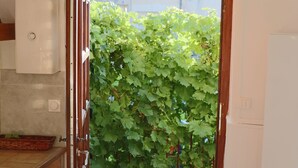 Een keuken met een houten kast, een witte koelkast en uitzicht op een groene muur begroeid met klimop via een geopende deur.