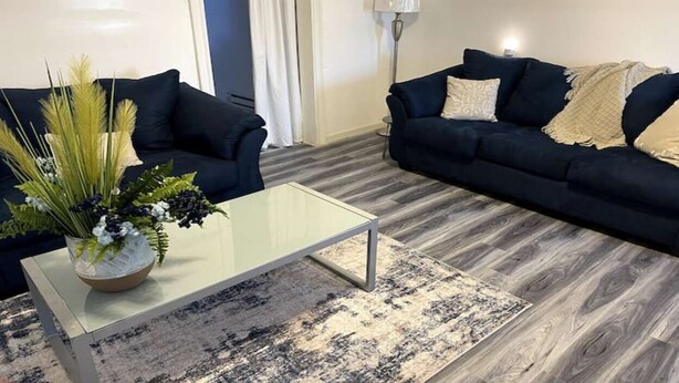 En moderne stue med to mørke sofaer, et glasbord og en dekorativ plante.