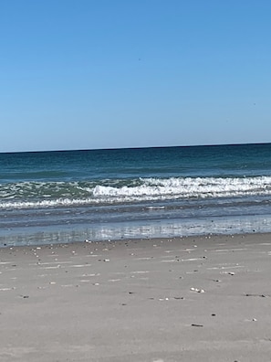 Playa en los alrededores 