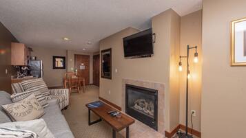 TV, fireplace, video games, DVD player