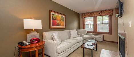 TV, fireplace, video games, DVD player