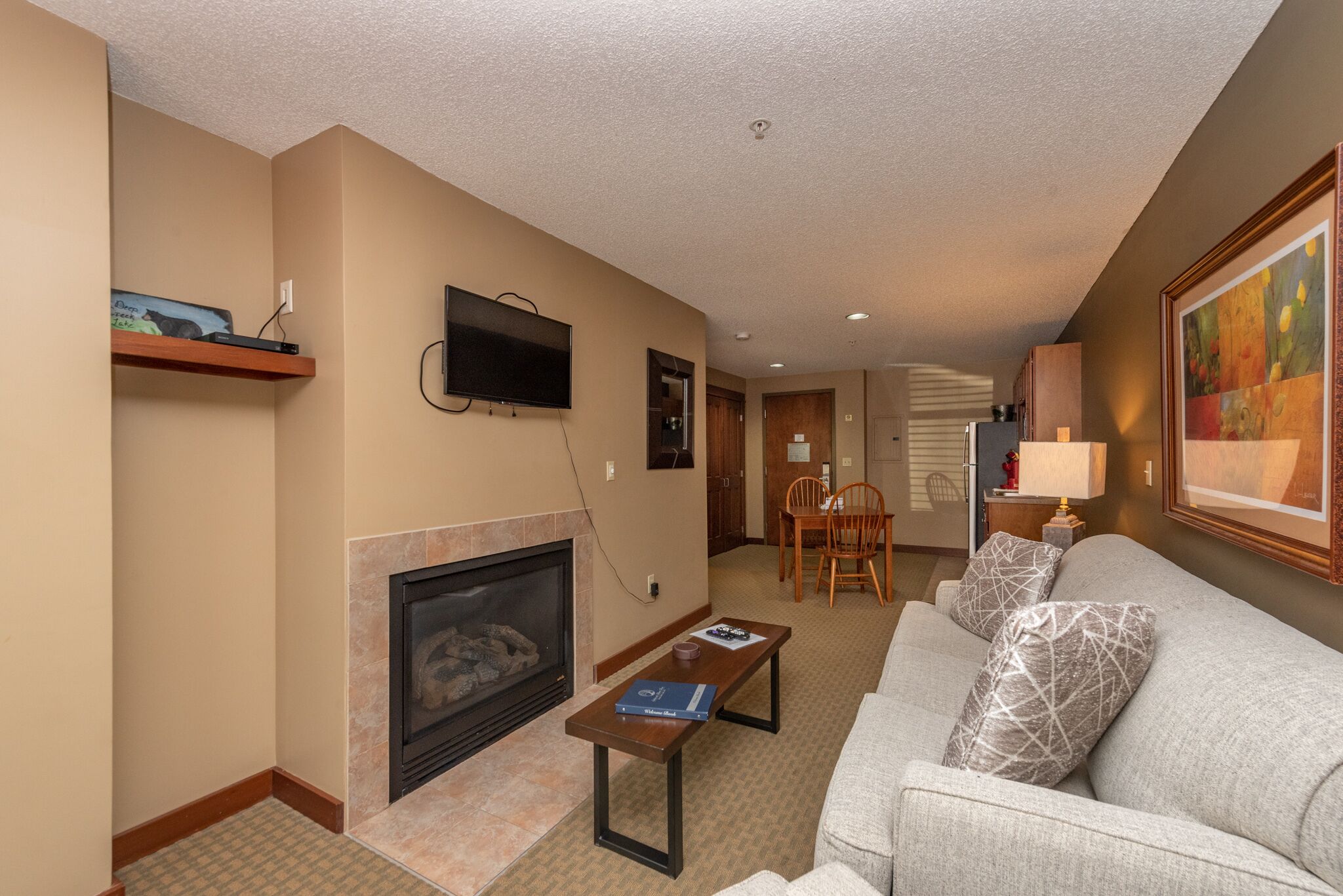 Fernseher, Kamin, Videospiele, DVD-Player