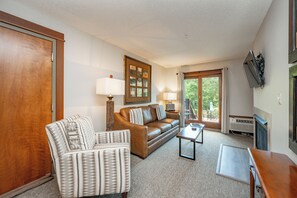 TV, fireplace, video games, DVD player