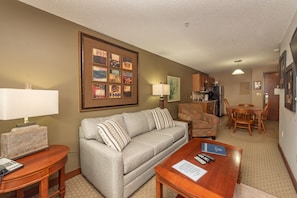 TV, fireplace, video games, DVD player
