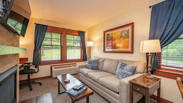 Fladskærms-tv, pejs, videospil