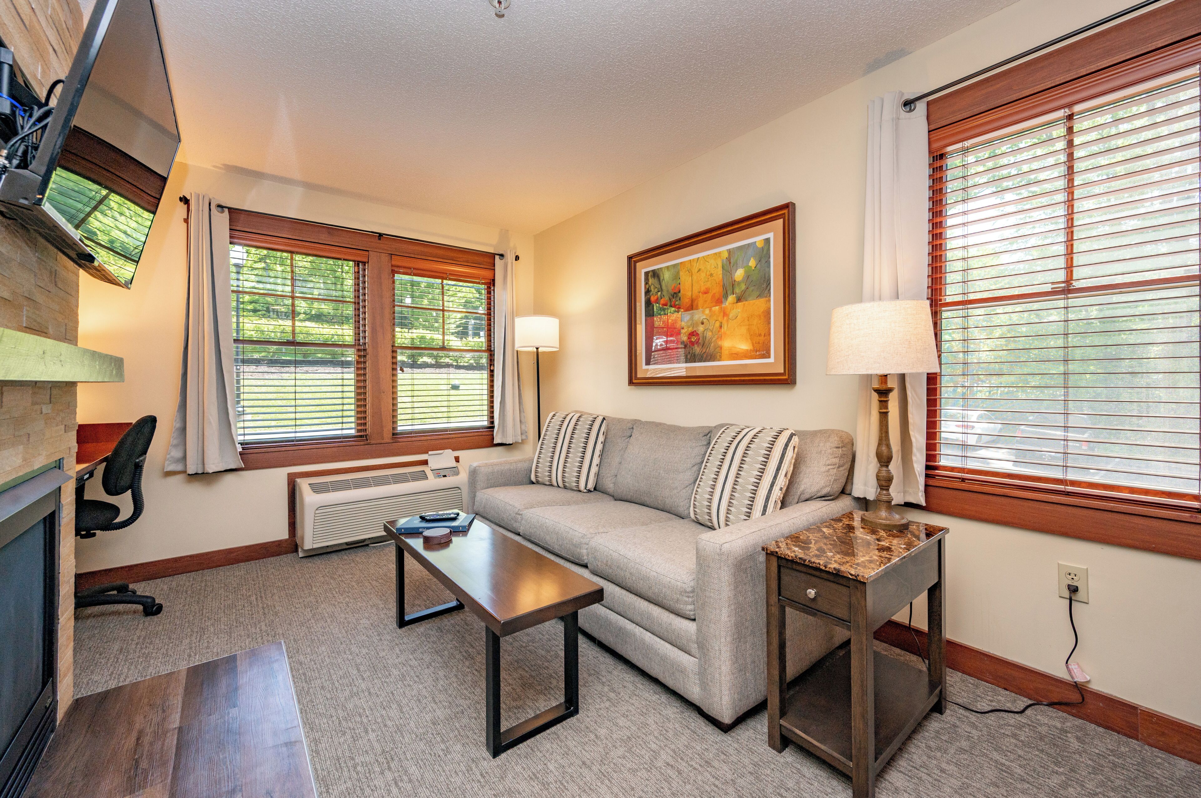 Flat-screen TV, fireplace, video games