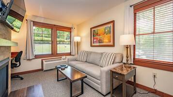 Flat-screen TV, fireplace, video games