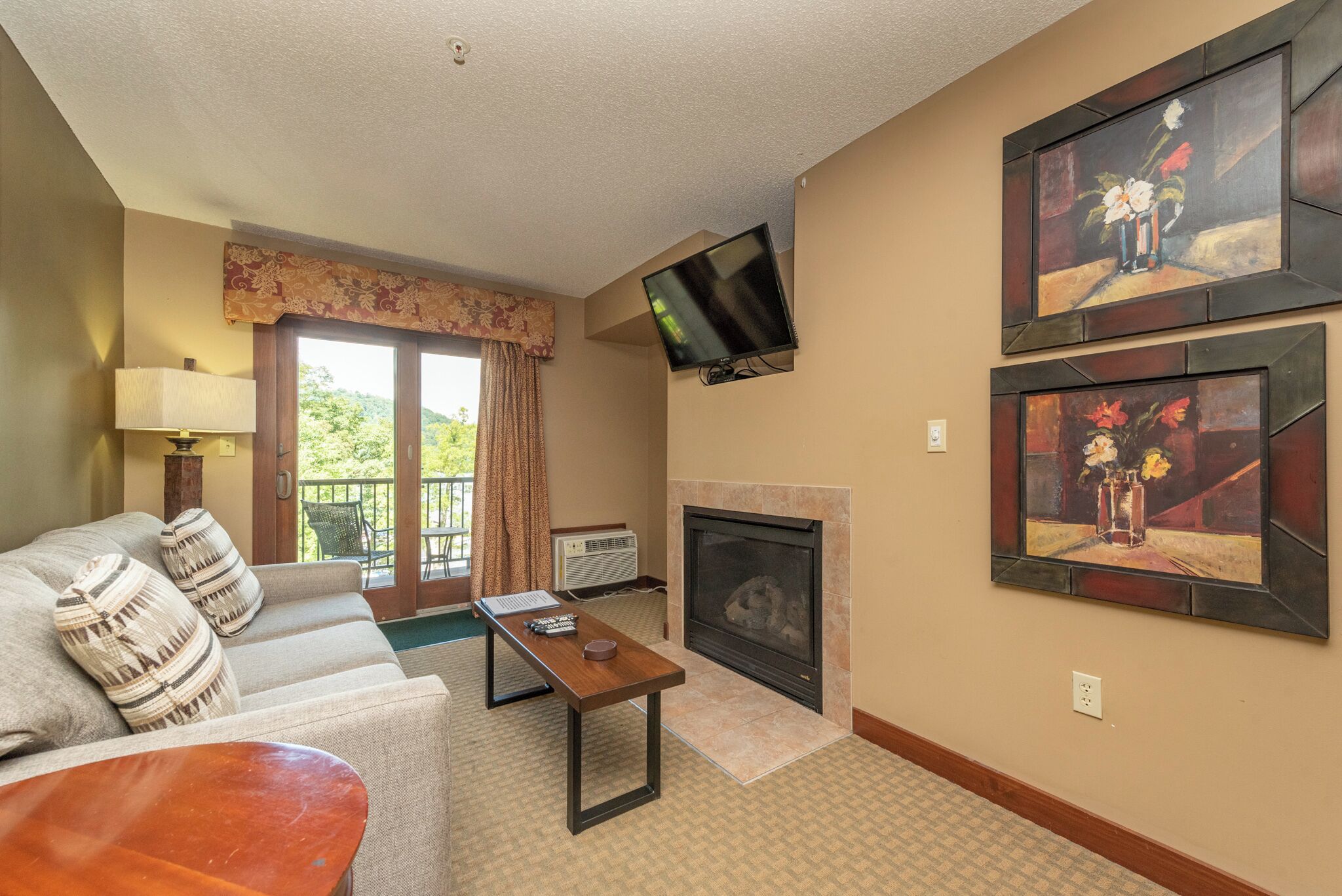 TV, fireplace, video games, DVD player