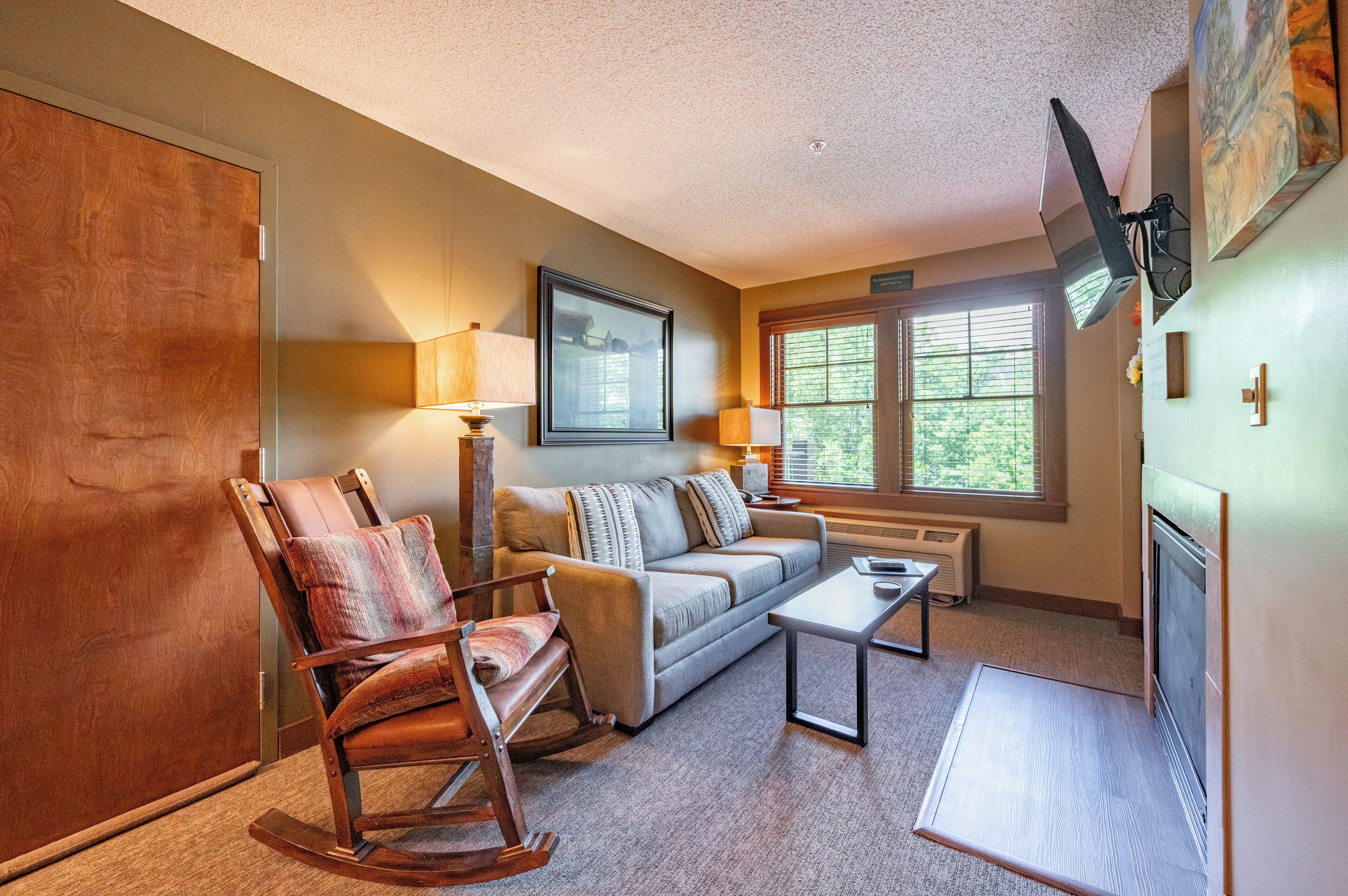 TV, fireplace, video games, DVD player