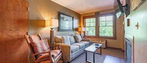 Televisie, een open haard, videospelletjes en een dvd-speler