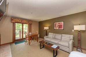 TV, fireplace, video games, DVD player