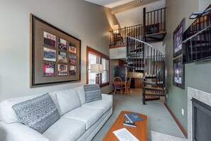 TV, fireplace, video games, DVD player