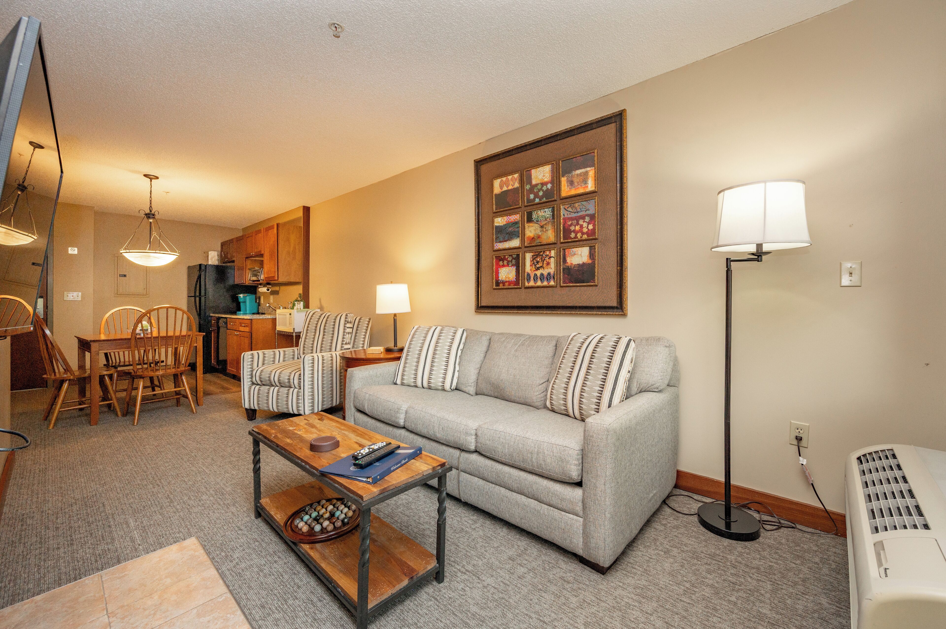 TV, fireplace, video games, DVD player