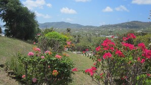 Eine Hügellandschaft mit üppiger Vegetation, rosa Bougainvillea-Blüten und einem entfernten Blick auf eine Stadt mit Hügeln und blauem Himmel.