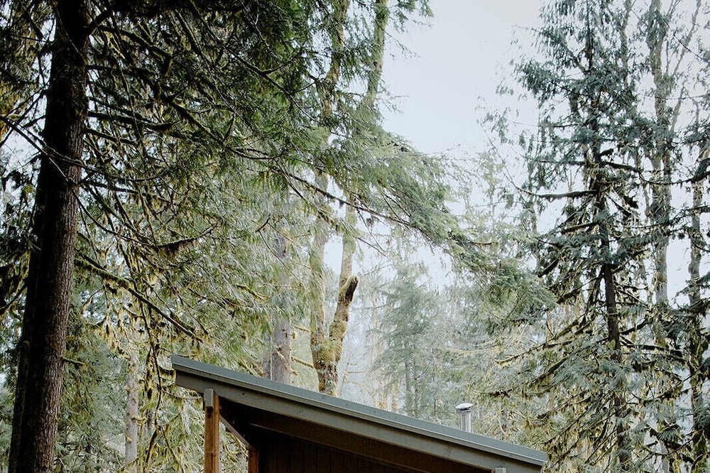 CYCLOPS: A Cabin Escape in the Cascades