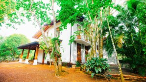Une maison traditionnelle entourée d’une végétation luxuriante.