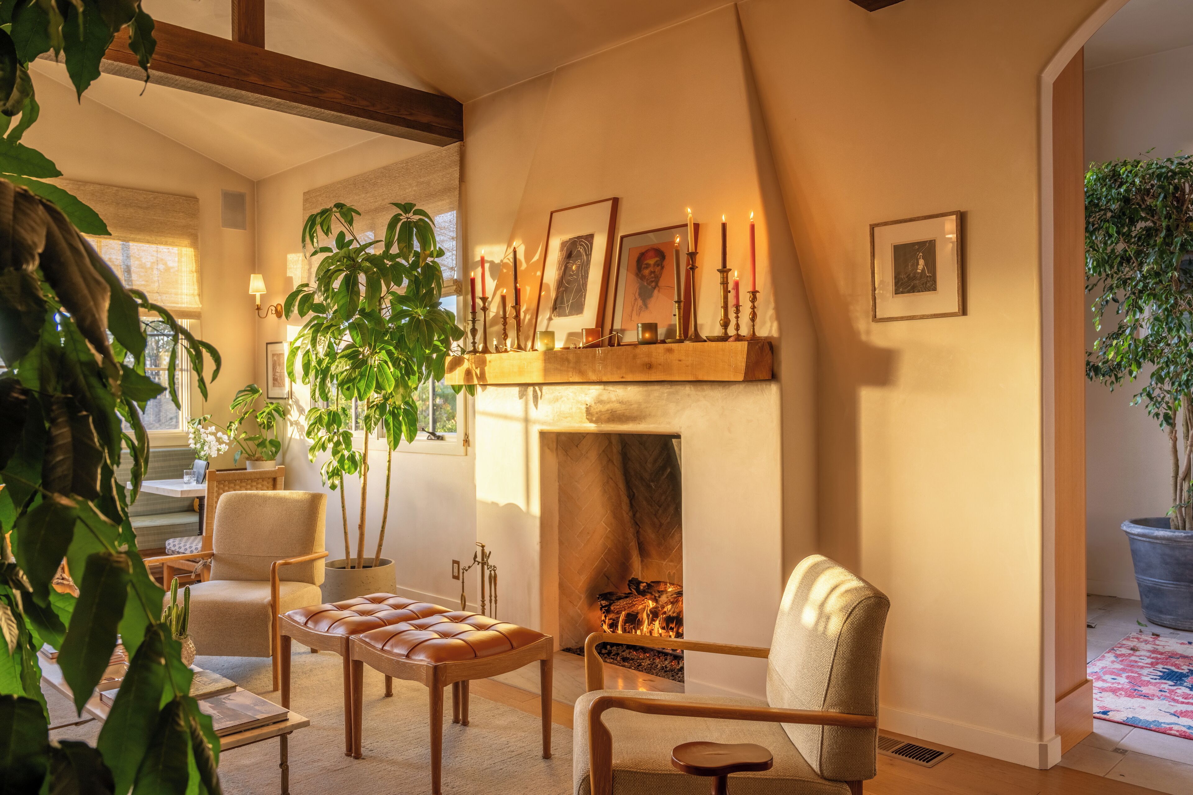 디지털 채널 시청이 가능한 55인치 스마트 TV, TV, 넷플릭스