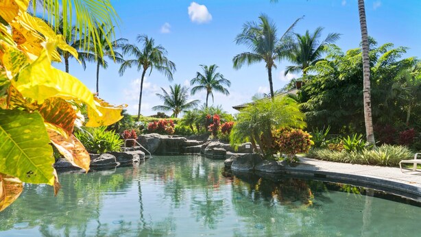 Una piscina cristalina rodeada de plantas tropicales y palmeras.