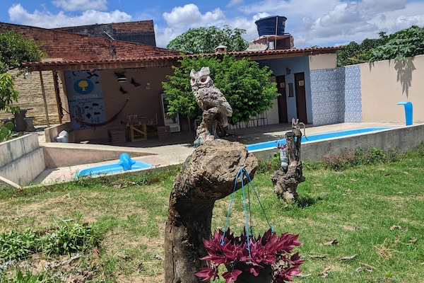 2 albercas al aire libre