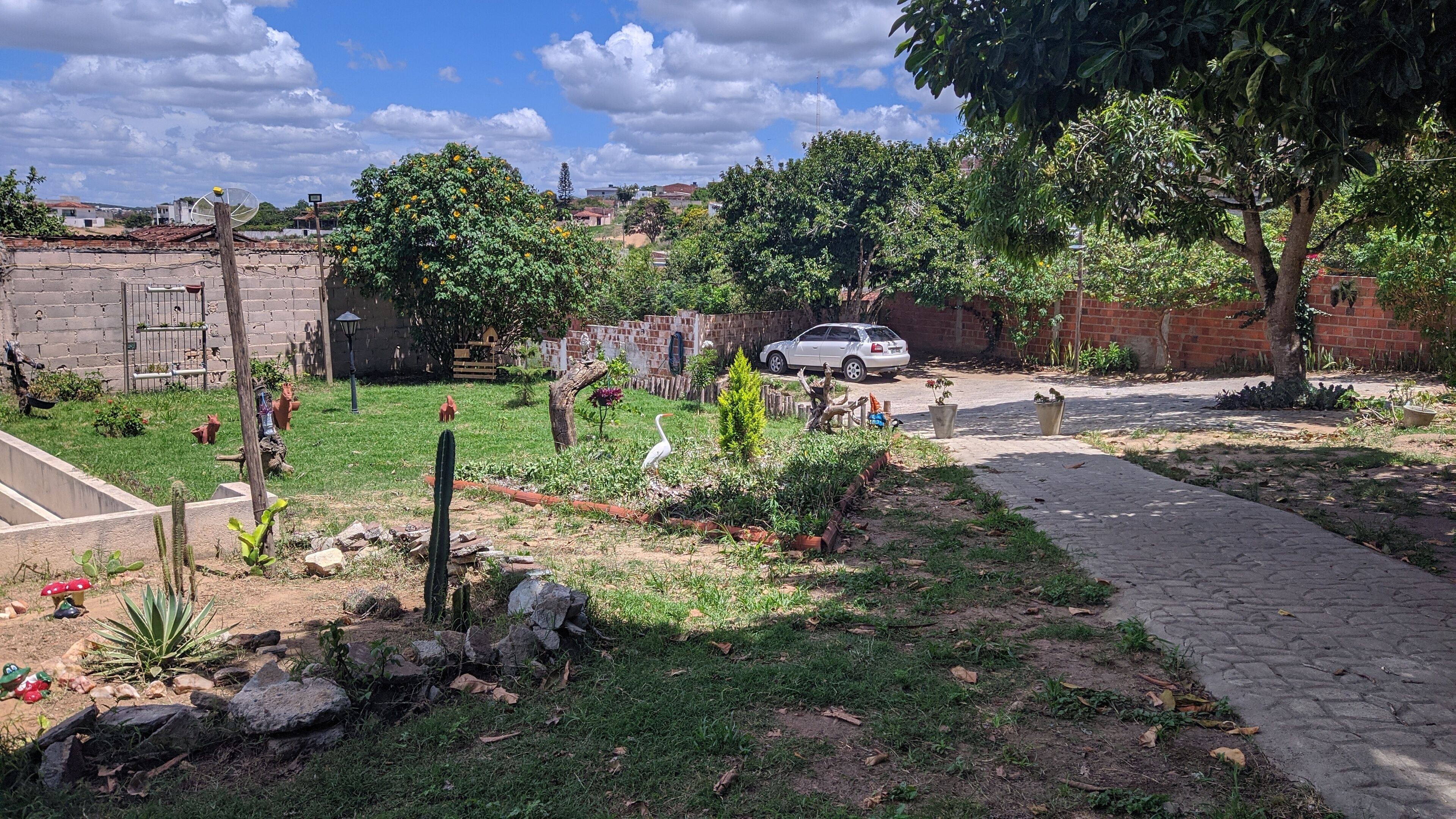 Um jardim com um caminho pavimentado, um cacto e um carro branco estacionado ao fundo.
